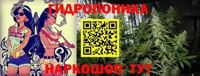 гашик Балахна