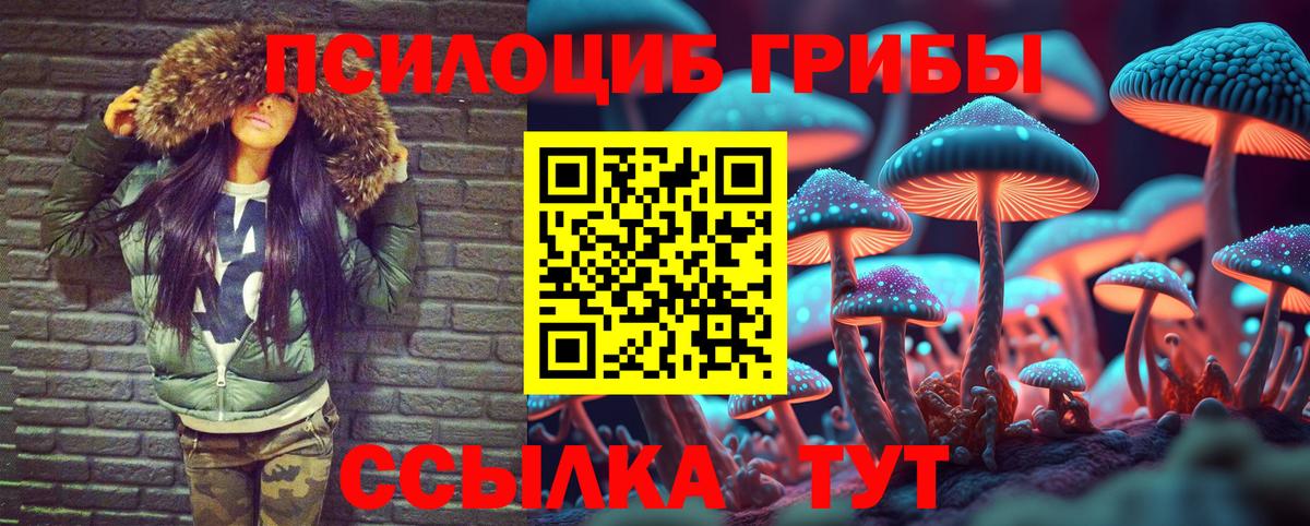Горячий Ключ  Псилоцибиновые грибы Psilocybe  Вход с VPN  Псилоцибиновые грибы MAGIC MUSHROOMS 
